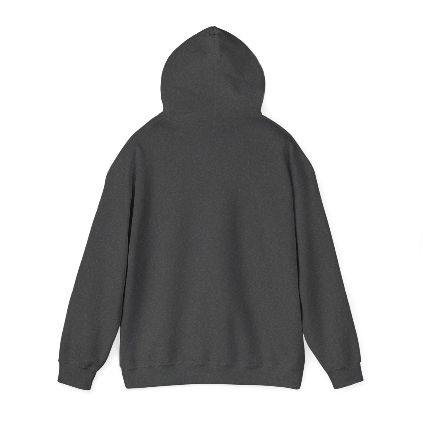 Destiny Driven Hooded Sweatshirt | Cozy Unisex Hoodie for Empowerment, Inspirational Gift, Relaxed Style, Affirmation Clothing, [...]