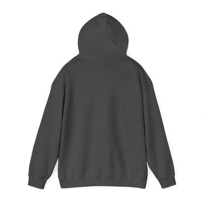 Destiny Driven Hooded Sweatshirt | Cozy Unisex Hoodie for Empowerment, Inspirational Gift, Relaxed Style, Affirmation Clothing, [...]