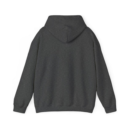 Destiny Driven Hooded Sweatshirt | Cozy Unisex Hoodie for Empowerment, Inspirational Gift, Relaxed Style, Affirmation Clothing, [...]